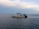 Bådene i Panaama m. Twin motore og soltag...