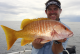 Stor Yellowtail Snapper fanget på speedjigfiskeri i Panama Oktober 2013