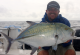 9-10kgs Blue Trevally Fanget på popper i Panama Oktober 2013